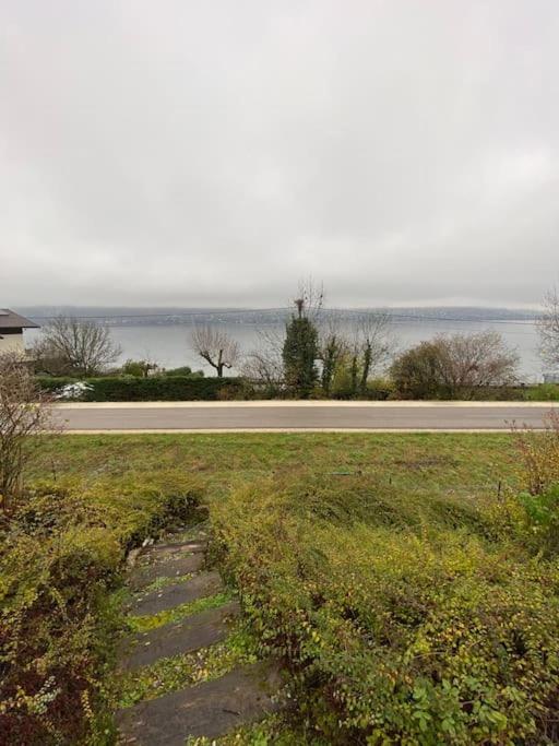 La Roseliere Sud, Vue Lac & Jardin Sevrier Luaran gambar